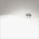 New Portfolio