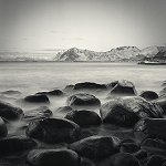 New Portfolio