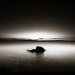New Portfolio