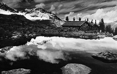 View Gallery