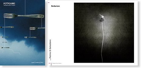 View portfolio Herbatium
