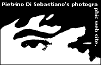 web site of pietrino di sebastiano