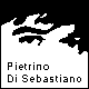 web site of pietrino di sebastiano