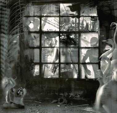 A woman observe a Initiation Rite.