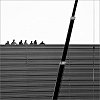 click - opens in new window