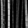 bamboo black.