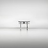 shirahige shrine torii study II.