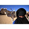 Cammelliere tuareg